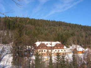 Apartament Górski i Pokoje Czarna Góra Sienna